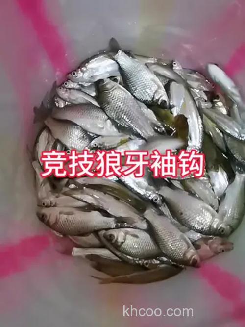 竞技狼牙7号能钓小鲫鱼吗？