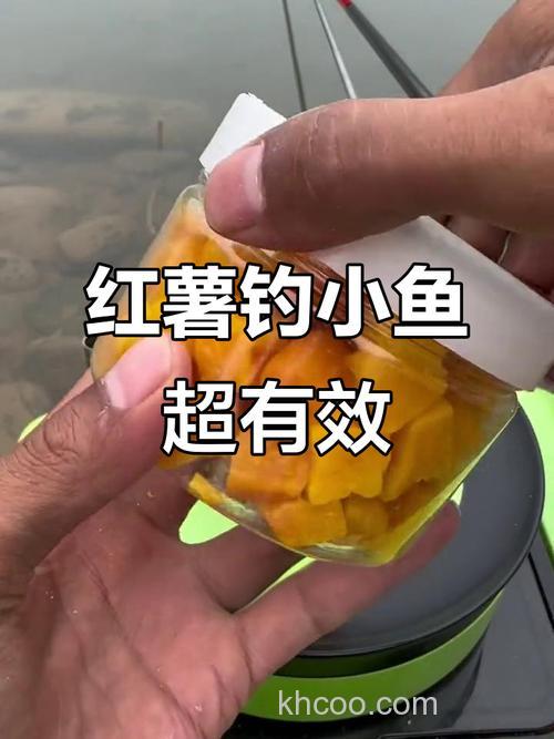 晚上用红薯钓鱼怎么样？