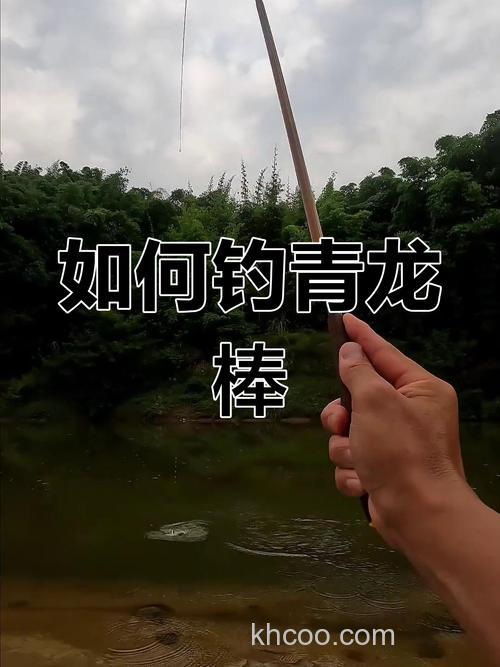 钓青龙棒鱼怎么选择钓位？