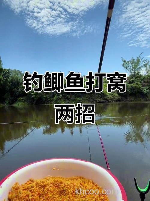 鲫鱼抽窝子一般抽多少下？