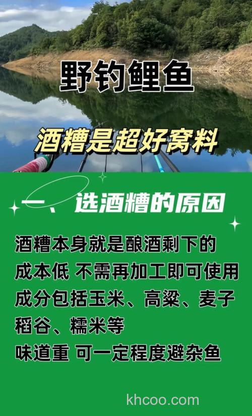 钓鲤鱼用酒糟打窝用玉米钓可以吗？