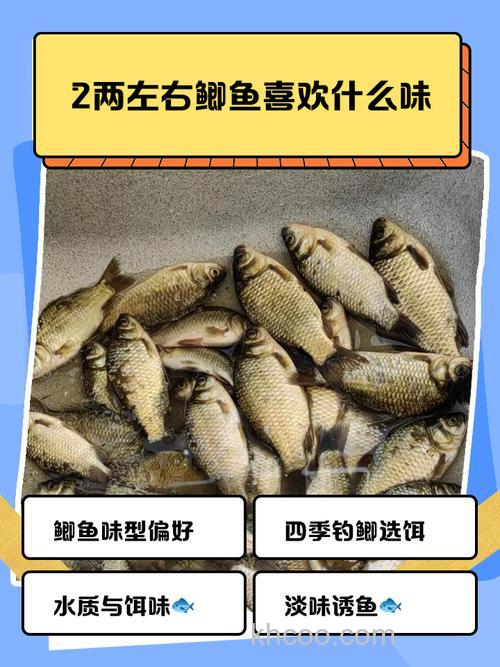 大鲫鱼和小鲫鱼分别喜欢吃什么饵料