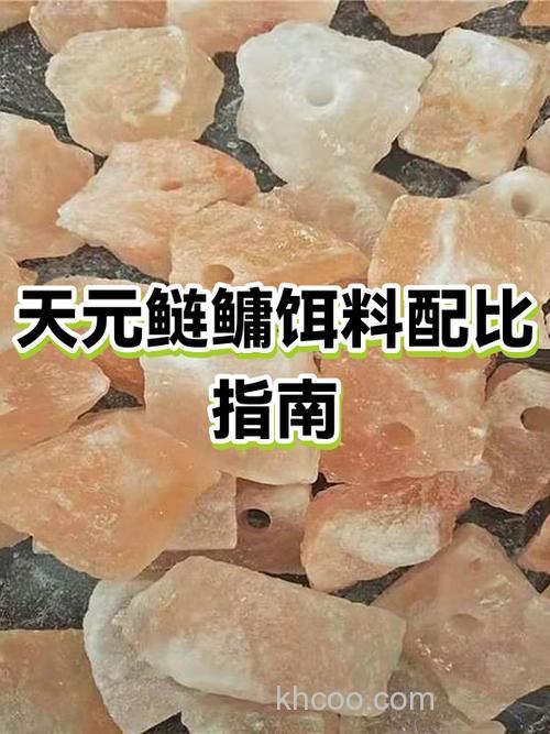 天元饵料水比多少合适？