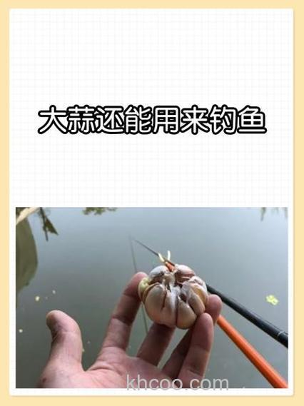 大蒜泡酒能钓鱼吗大蒜泡酒钓鱼的方法好不好？