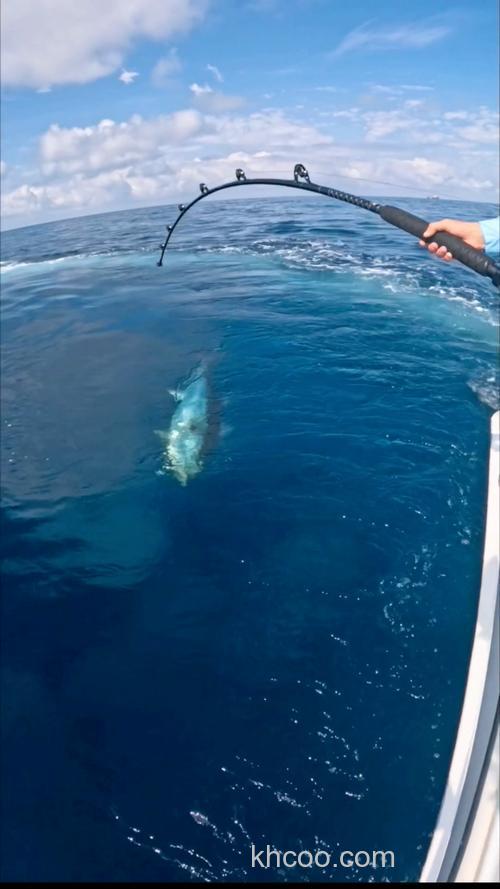 大海钓金枪鱼超有挑战与乐趣，选对钓点是成功关键