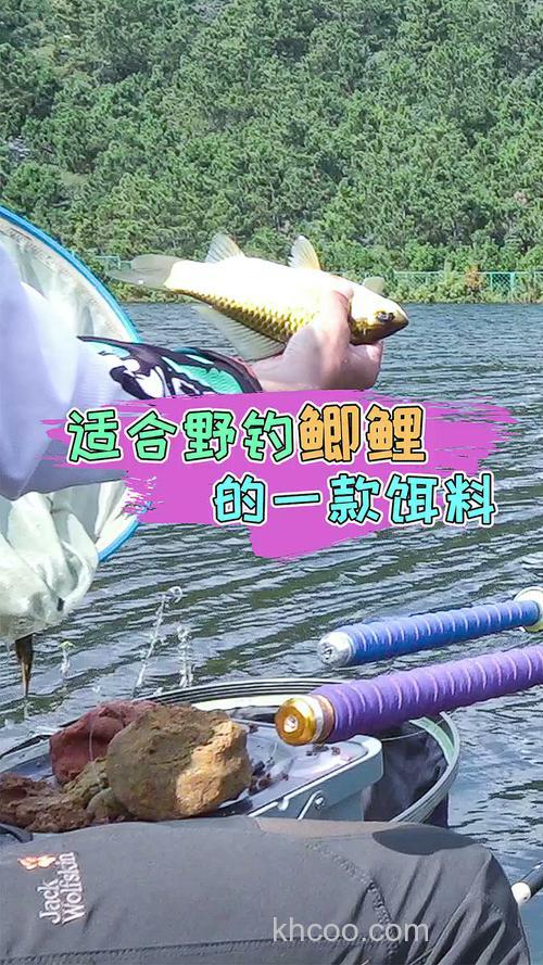 夏天钓鲤鱼用，老鬼的螺鲤系列好吗？（大河）？