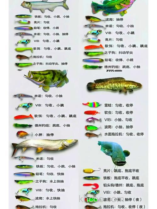 新三样饵料搭配比例？