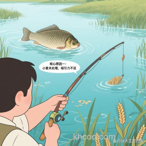 初春小麦钓鲫鱼的优缺点？