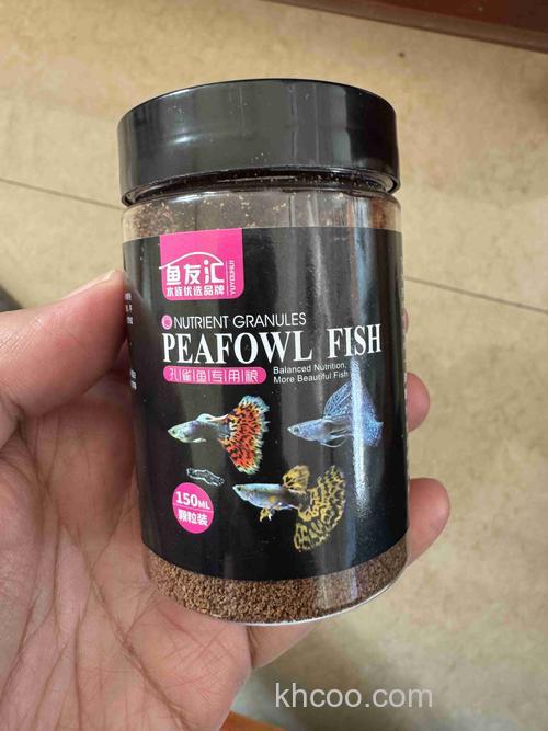 孔雀鱼喂什么牌子饵料最好？