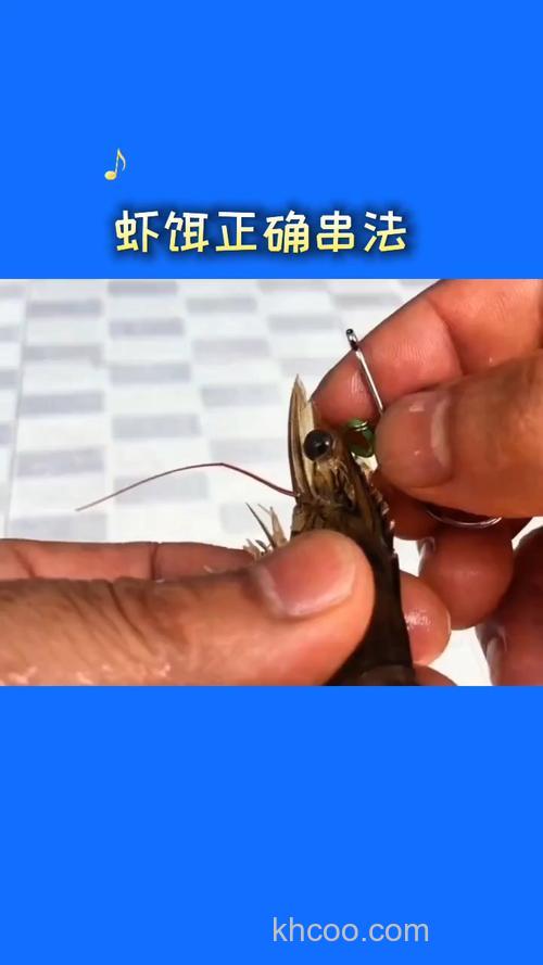 虾滑钓鲤鱼开饵搭配方法？