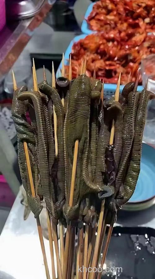 香虎酒可蘸蚯蚓吗？