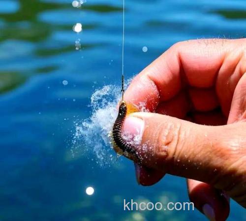 蚯蚓蘸什么钓鲫鱼最好？