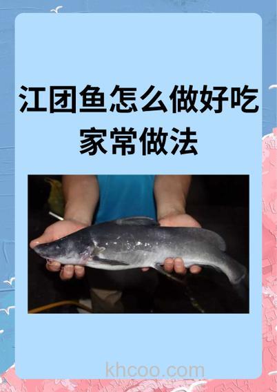 江团鱼料配方？