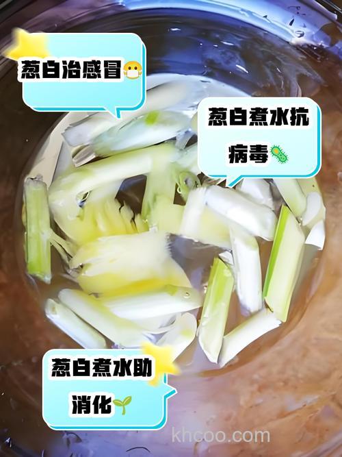 大葱韭菜发酵水如何制作？