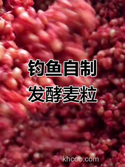 自制钓鲤鱼、草鱼的稻谷、麦粒怎样制作最简单有效？