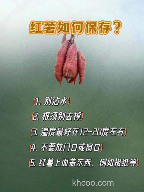 红薯饵料怎么保存？