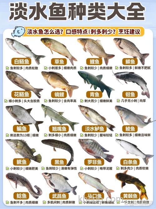 自从千岛湖形成以后，80多种鱼在湖中安了家，有常见的草鱼.鲤鱼.鲢鱼，也有珍贵的鳜鱼.鲑鱼等。 用了什么