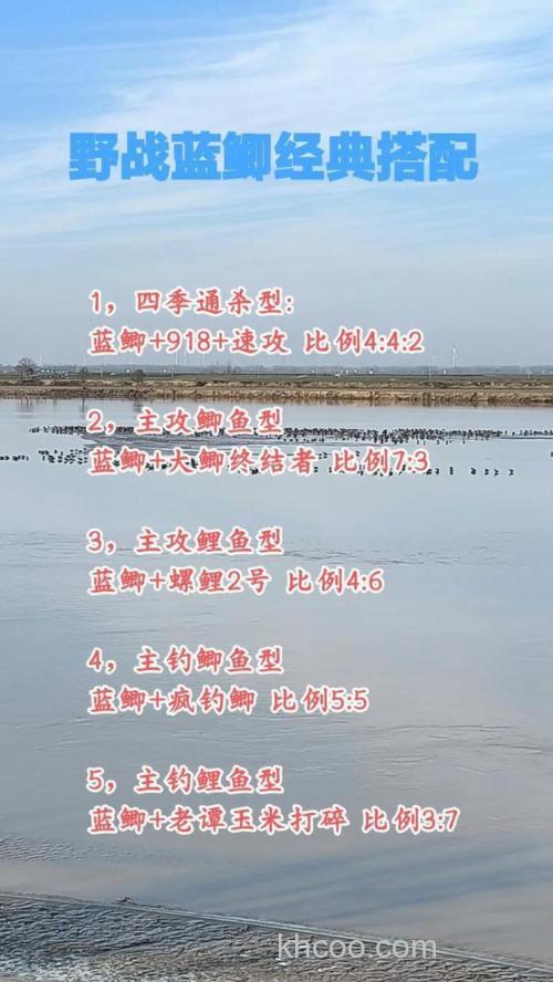 螺鲤九一八速攻怎么搭配？