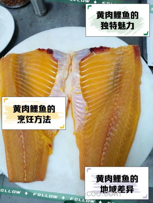 黄冠鲤的使用方法？