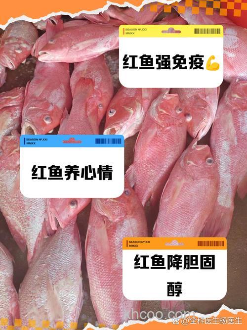 红花鱼爱吃什么饵料？
