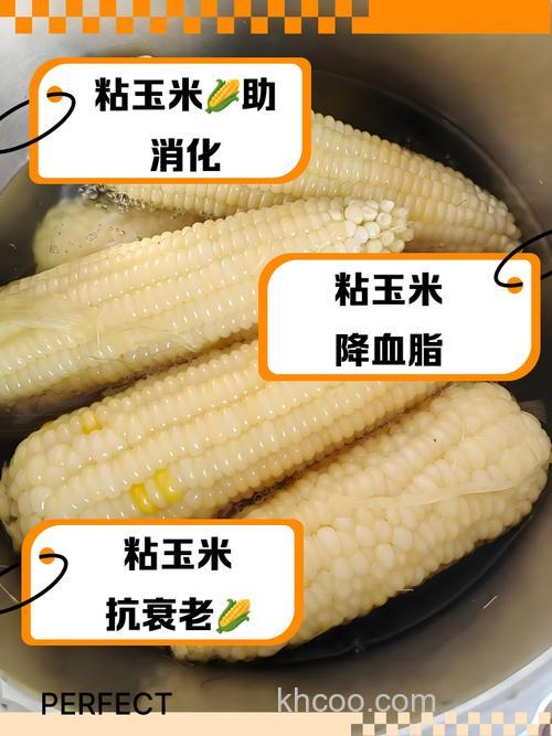 冬天用麝香玉米好还是发酵玉米好？