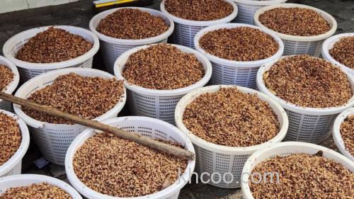 酒曲鳙鱼饵,酒醢是什么？