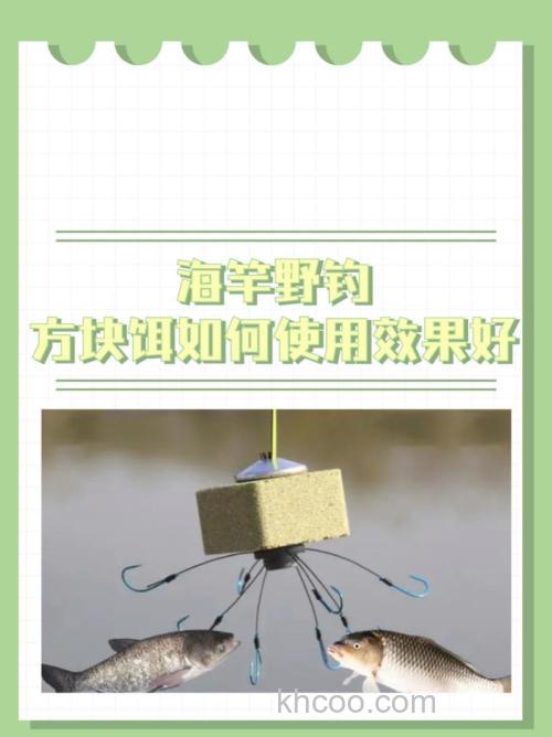 11月用海竿钓鱼用什么方块饵？