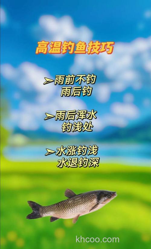 伏天野钓技巧,轻松应对高温挑战