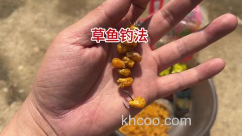 一米水深怎么钓草鱼？