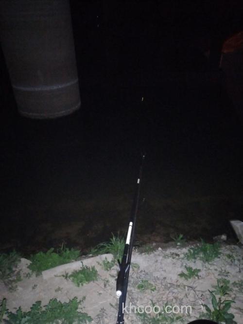 怎么样在夜晚钓鱼