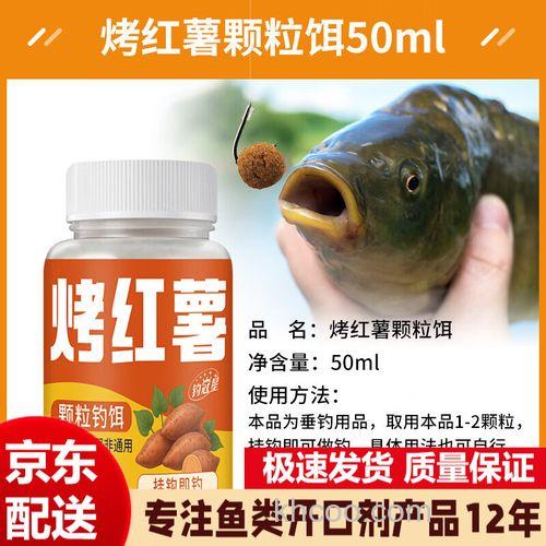 红薯钓鳙鱼饵料,十月底适合钓什么鱼及什么饵料