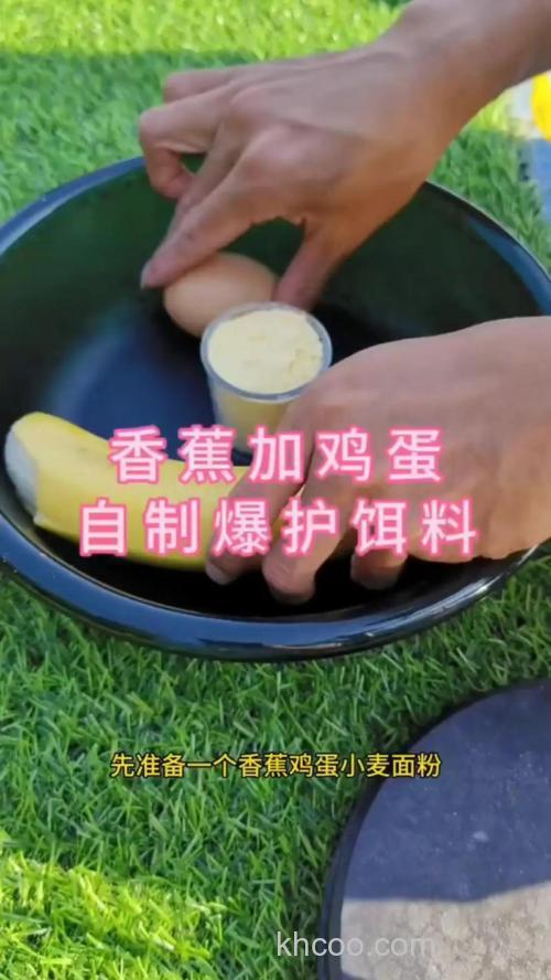 香蕉面钓鲫鱼配方？