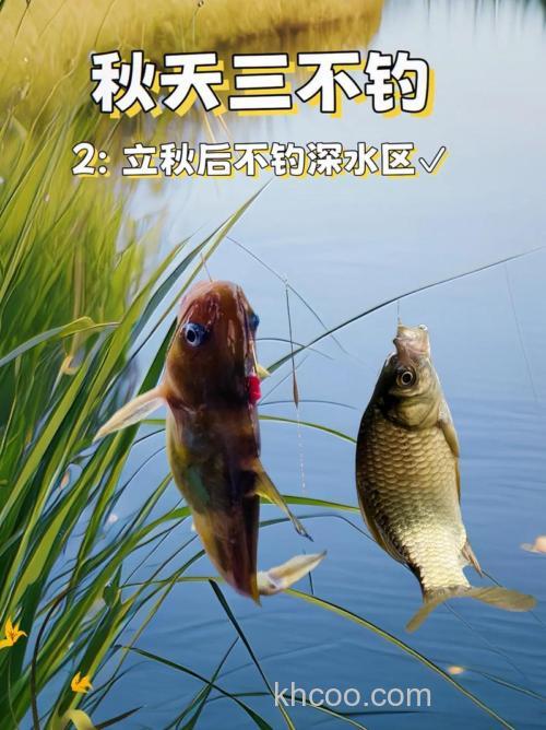 秋季野钓技巧,捕捉金秋鱼儿，尽享垂钓乐趣