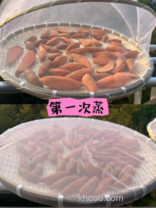 干红薯渣养鱼的方法？