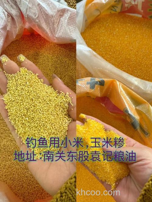 玉米糁和小米钓鱼哪个好？