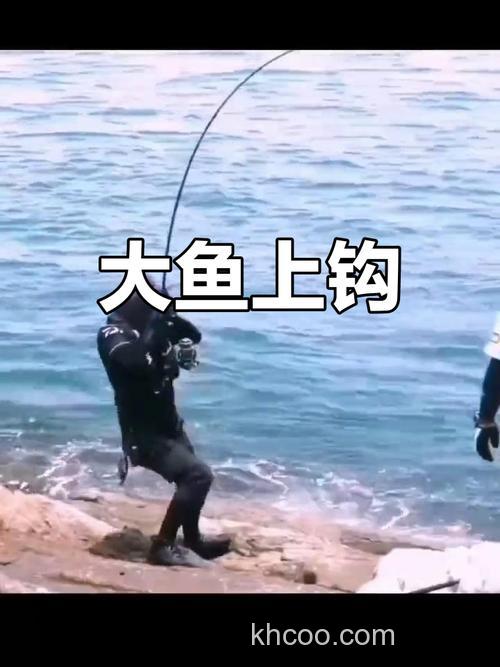 向高手高手高高手请教钓鲤鱼