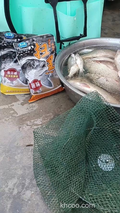 啤酒开饵料钓鲤鱼的真实效果？