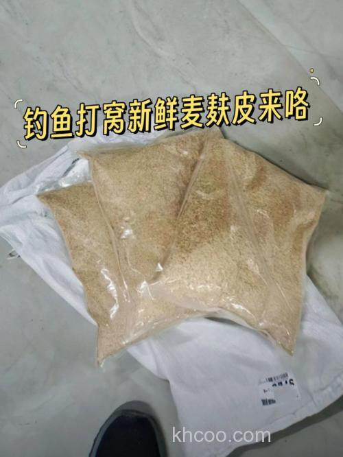 蒸麦子放曲粉发酵打窝钓鱼？