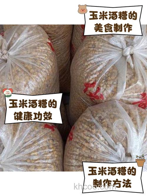 玉米酒糟使用方法？