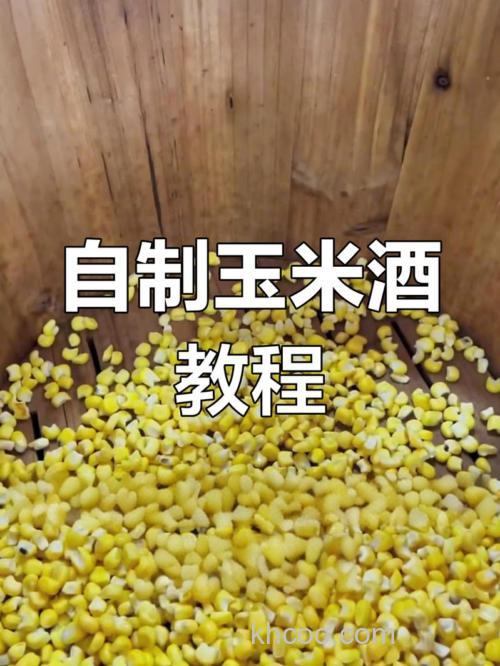 怎样用玉米做酒