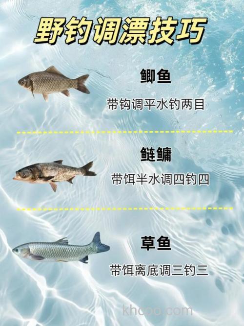 春天野钓技巧,野钓技巧全攻略