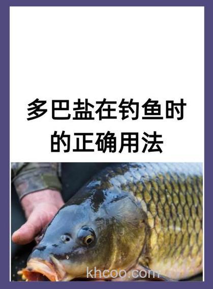 多巴盐怎么配钓鱼饵料？