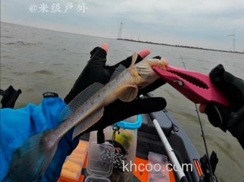 猪肉海钓效果怎么样？