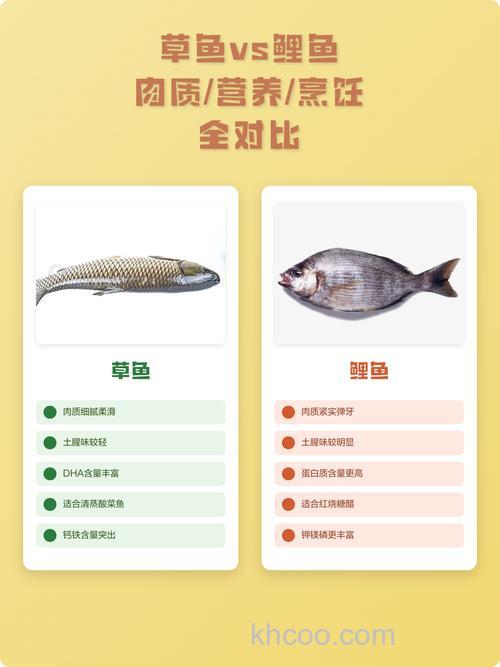 鲤鱼和草鱼哪个营养更丰富?