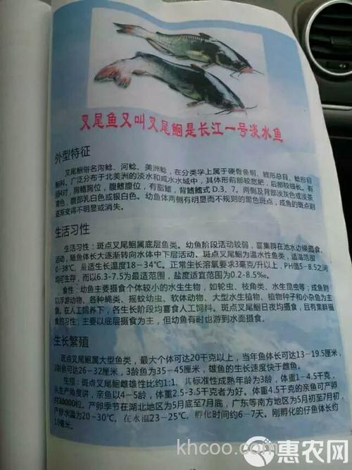 叉尾鮰最佳饵料配方？