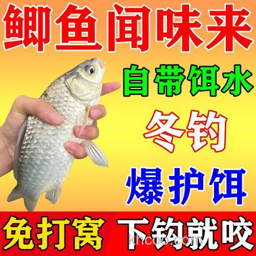 爆护大师鲫鱼专用饵效果怎么样？