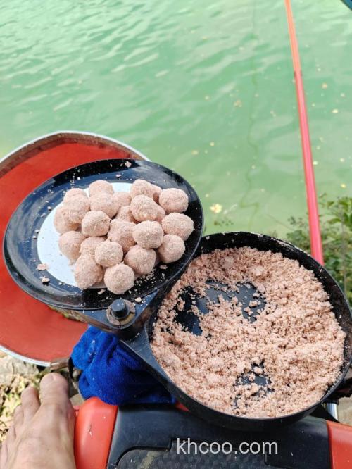 鲢鳙饵面粉多了要紧吗
