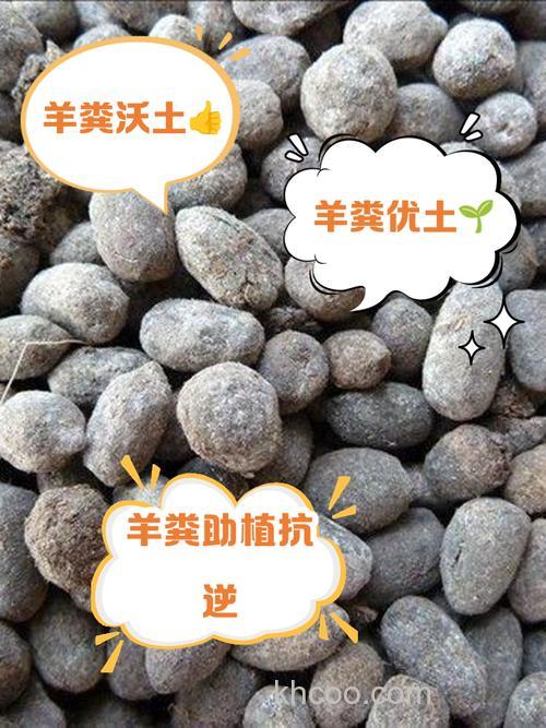 放养山羊的粪便能畏草鱼吗?