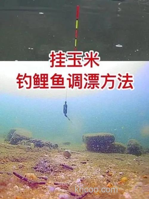 用玉米粒钓鲤鱼时怎样调浮？