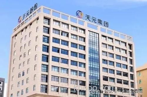 武汉天元公司全名？